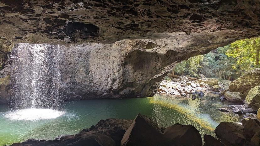 Springbrook National Park