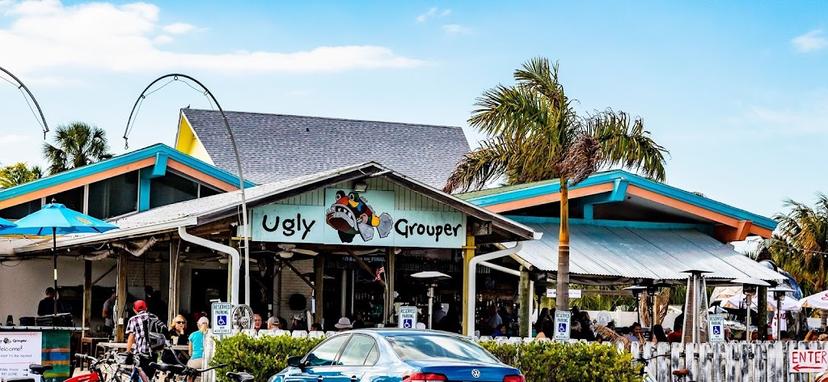The Ugly Grouper