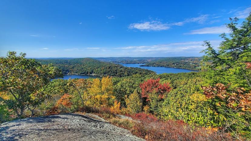 Macricostas Preserve