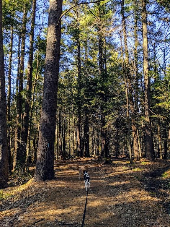 White Memorial - Mattatuck Trail