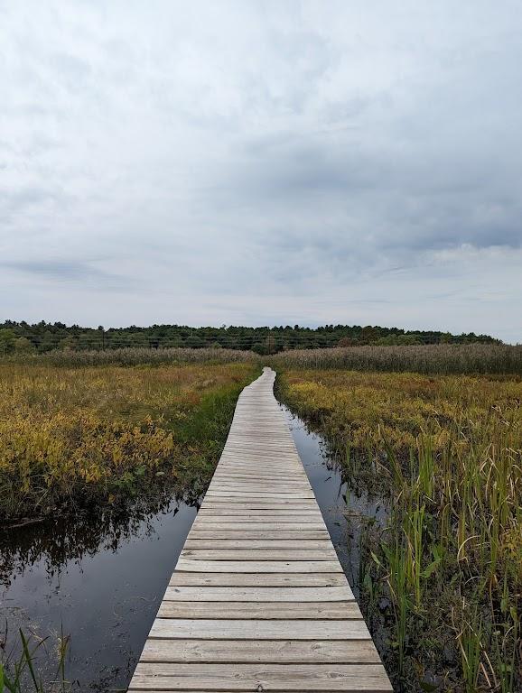 White Memorial Conservation Center