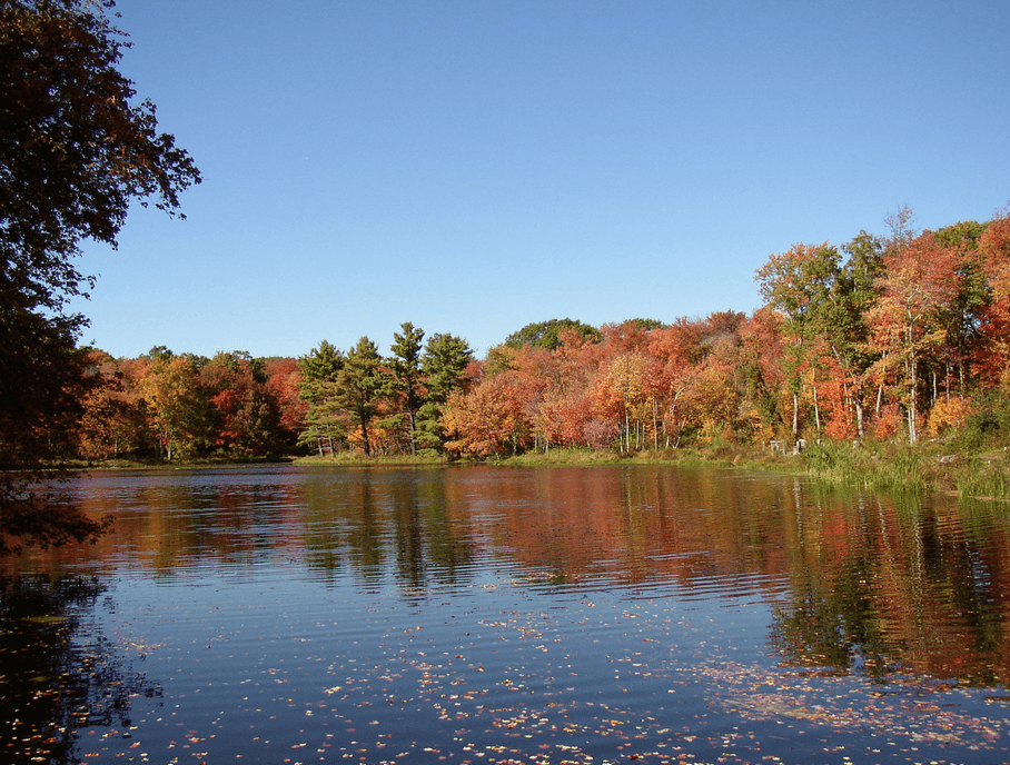 Harwinton Land Trust - Bull Pond Preserve
