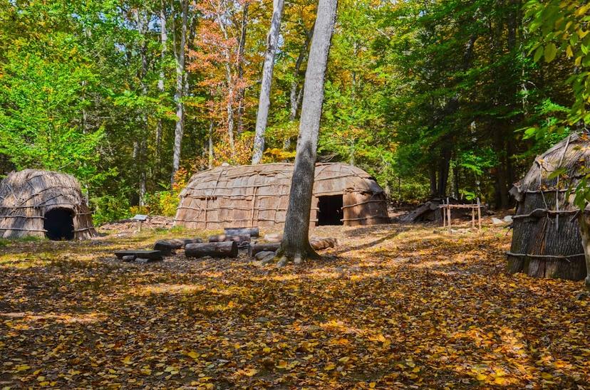 The Institute For American Indian Studies