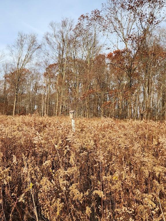 Boyd Woods Audubon Sanctuary