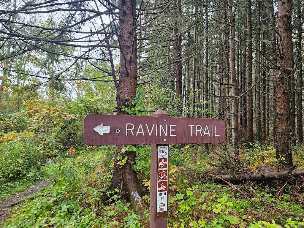 Ravine Loop Trail at Picnic Area Rd