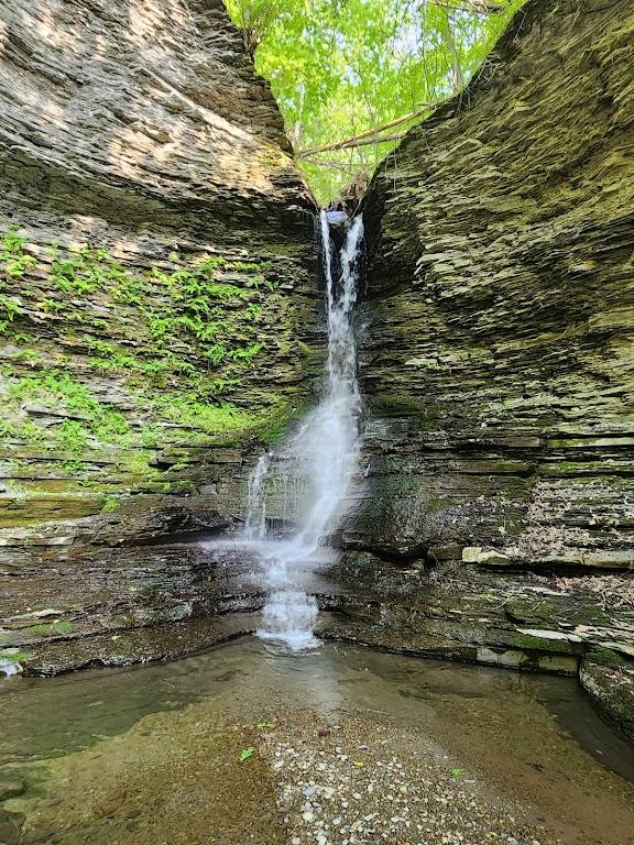 Excelsior Glen Trail