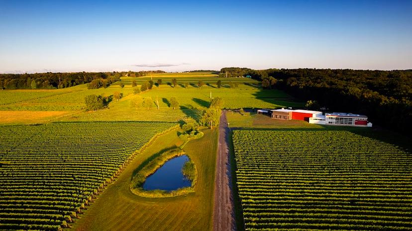 Red Tail Ridge Winery