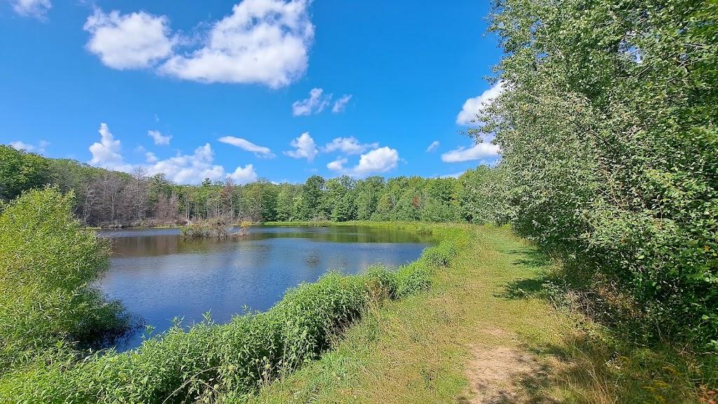 Finger Lakes National Forest