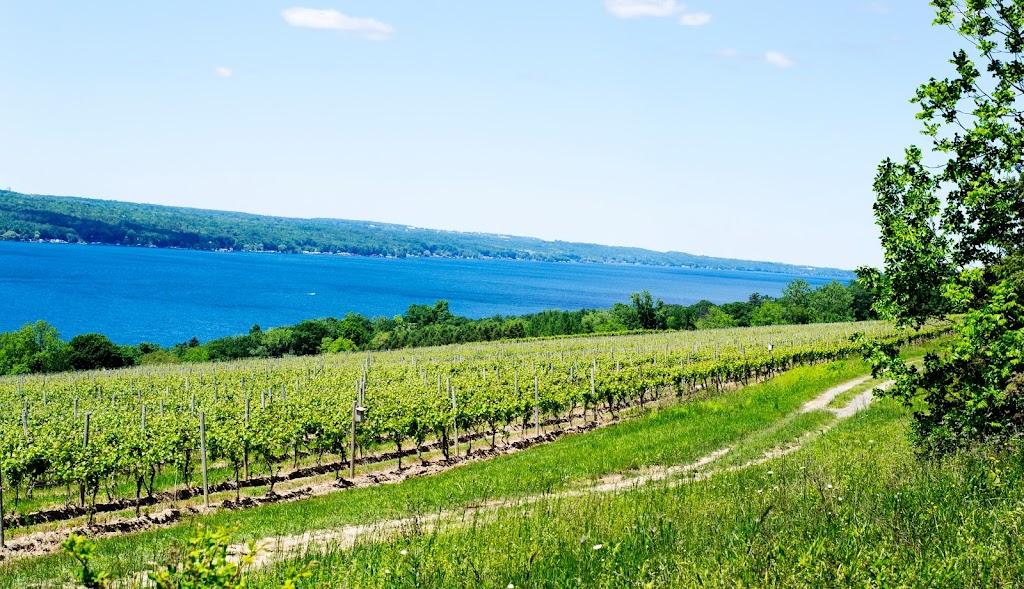 Hector Wine Company
