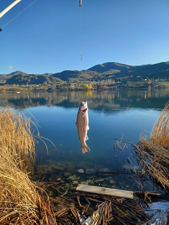 Roses Lake Public Fishing And Boat Launch